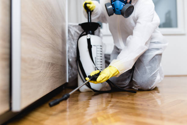 Best Cockroach Control Services  in Weston, MO