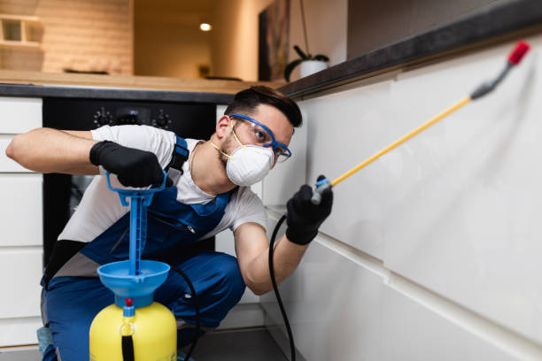 Best Affordable Pest Control Services  in Weston, MO