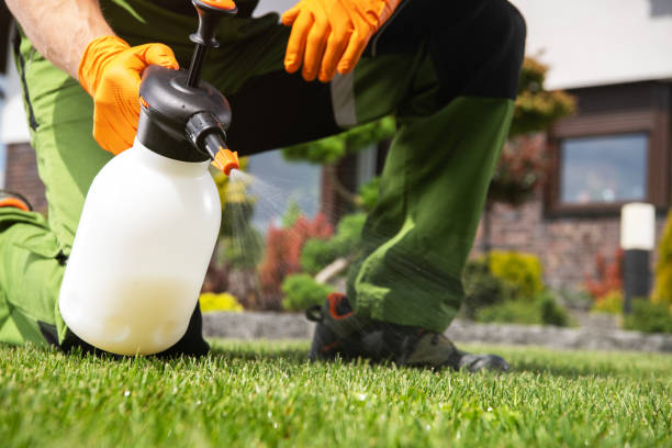 Best Residential Pest Control  in Weston, MO