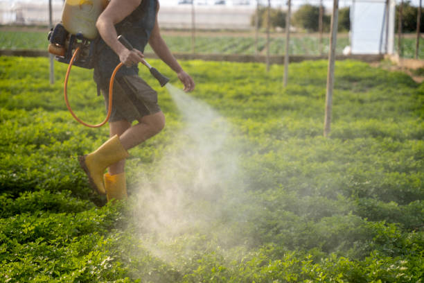 Best Commercial Pest Control Services  in Weston, MO