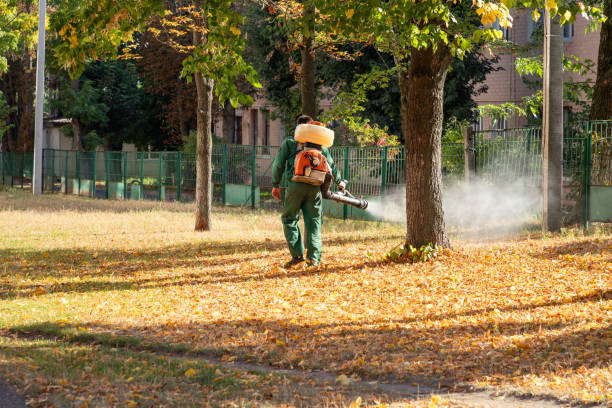 Best Pest Control Near Me  in Weston, MO